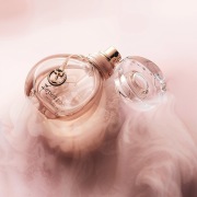 magnific-3mWjnT3XYBxUKIy7dJ73-df-copie