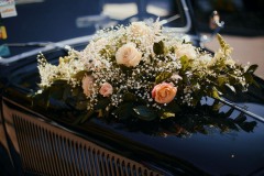 jpg-116