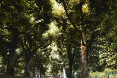 JPG-209