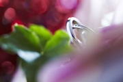 Mariage reportage (180)