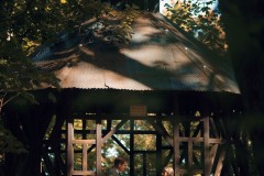 JPG-289