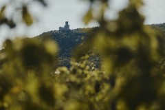 MG_2891