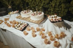 MG_3894